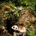 Foto Moon the Panda