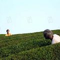 Foto Naomi Kawase