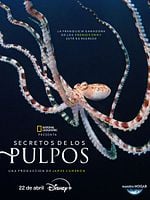 imagen de Secretos de los pulpos