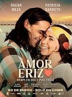Cartel de Amor Erizo