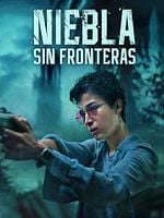 Cartel de Niebla sin fronteras