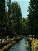 Cartel de The Observer′s Journal