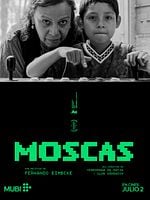 Cartel de Moscas