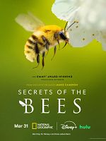 imagen de Secreto de las Abejas