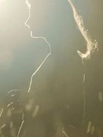 imagen de Lightfields