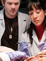 imagen de Bloodletting & Miraculous Cures