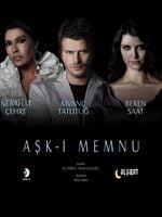 imagen de Amor prohibido