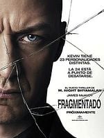 Cartel de Fragmentado