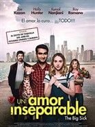 Cartel de Un amor inseparable