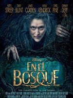 Cartel de En el bosque
