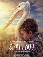 Cartel de Storm Boy