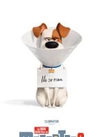 Cartel de La vida secreta de tus mascotas 2