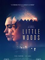 Cartel de Little Woods