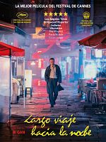 Cartel de Largo viaje hacia la noche