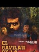 Cartel de El gavilán de la sierra