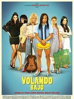 Cartel de Volando bajo