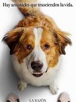 Cartel de La razón de estar contigo: Un nuevo viaje