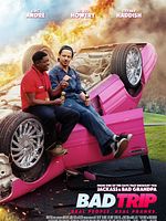 Cartel de Un viaje pesado