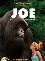 Cartel de El gran gorila