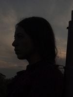 Cartel de El canto de las moscas