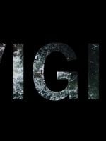 imagen de Vigil