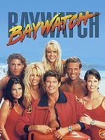 imagen de Guardianes de la bahía