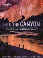 Cartel de Into the Canyon