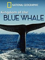 Cartel de Kingdom Of The Blue Whale