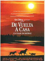 Cartel de De vuelta a casa. Un viaje increíble
