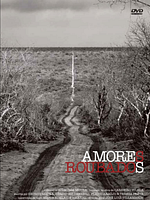 imagen de Amores robados