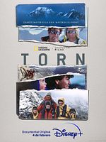 Cartel de Torn