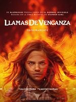 Cartel de Llamas de Venganza