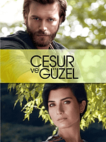 imagen de Amor Valiente