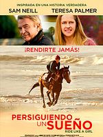 Cartel de Persiguiendo un sueño