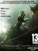 Cartel de 13 vidas