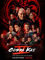imagen de Cobra Kai