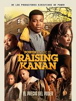 imagen de Power Book III: Raising Kanan