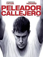 Cartel de Peleador callejero