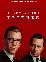 imagen de A Spy Among Friends