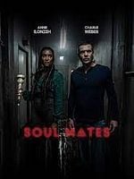 Cartel de Soul Mates