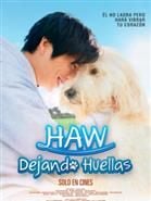 Cartel de Haw, dejando huellas