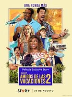 Cartel de Amigos de las vacaciones 2