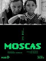 Cartel de Moscas