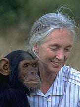 foto de Jane Goodall
