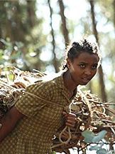 foto de Betalehem Asmamawe