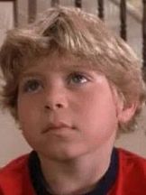 foto de Shane Baumel