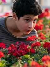 foto de Aran-Sina Keshvari