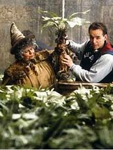 foto de Miriam Margolyes