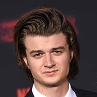 Foto Joe Keery