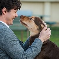 Foto Jonah Hauer-King